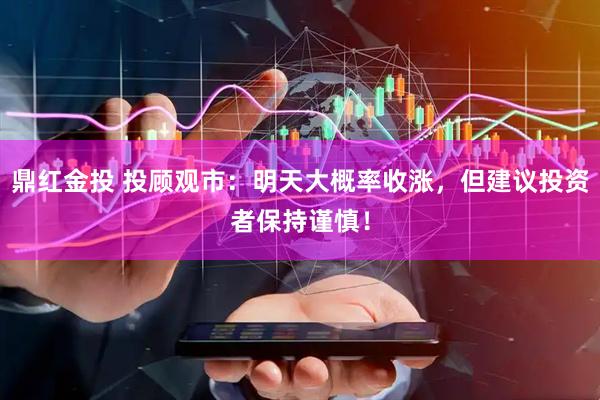 鼎红金投 投顾观市：明天大概率收涨，但建议投资者保持谨慎！