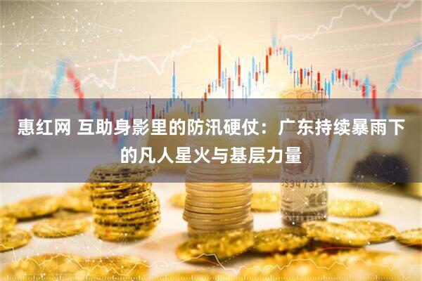 惠红网 互助身影里的防汛硬仗：广东持续暴雨下的凡人星火与基层力量