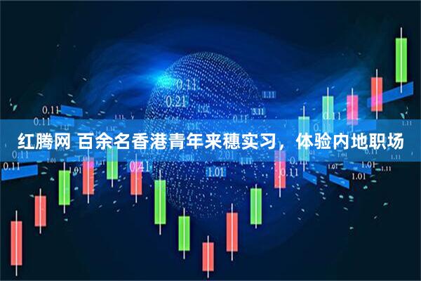 红腾网 百余名香港青年来穗实习，体验内地职场