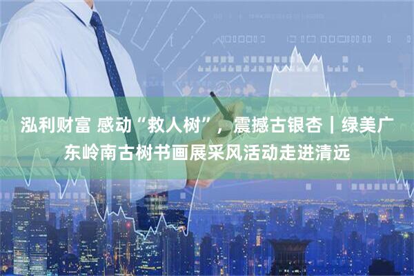 泓利财富 感动“救人树”，震撼古银杏｜绿美广东岭南古树书画展采风活动走进清远