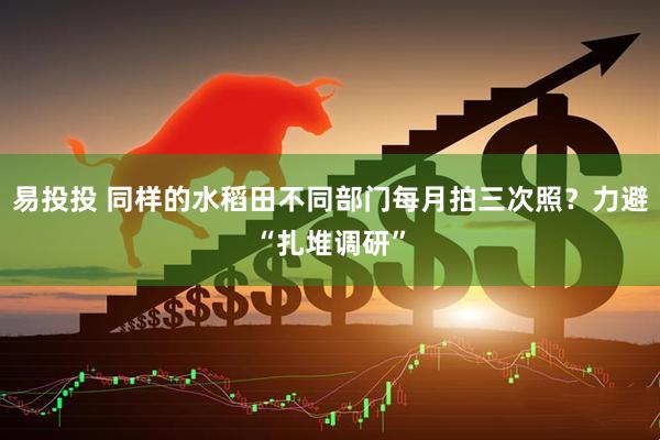 易投投 同样的水稻田不同部门每月拍三次照？力避“扎堆调研”