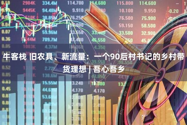 牛客栈 旧农具、新流量：一个90后村书记的乡村带货理想 | 吾心吾乡