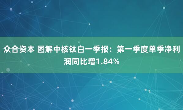众合资本 图解中核钛白一季报：第一季度单季净利润同比增1.84%